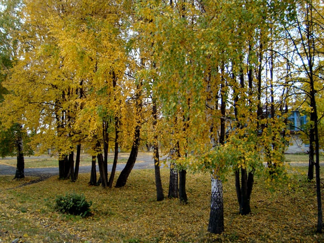 Красивые фото Алтая - Осень на Алтае Красивые фото Алтая - Осень на Алтае