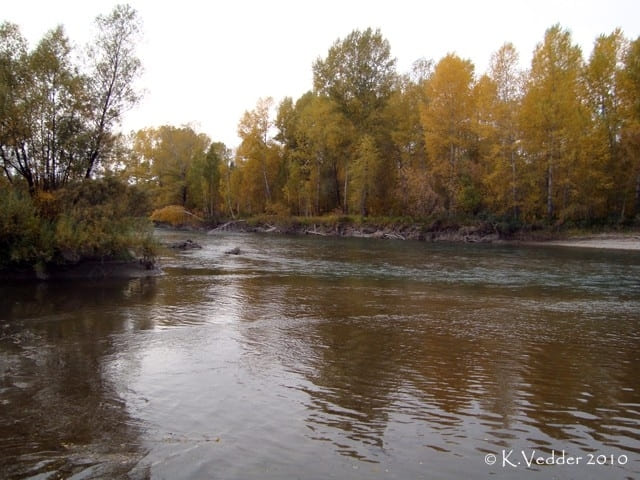 река Катунь река Катунь