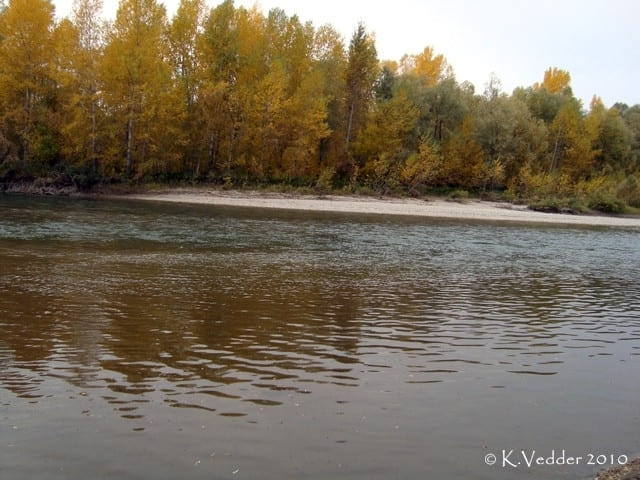 река Катунь река Катунь