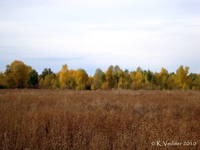 Красивые фото Алтая - Осень. Красивые фото Алтая - Осень.
