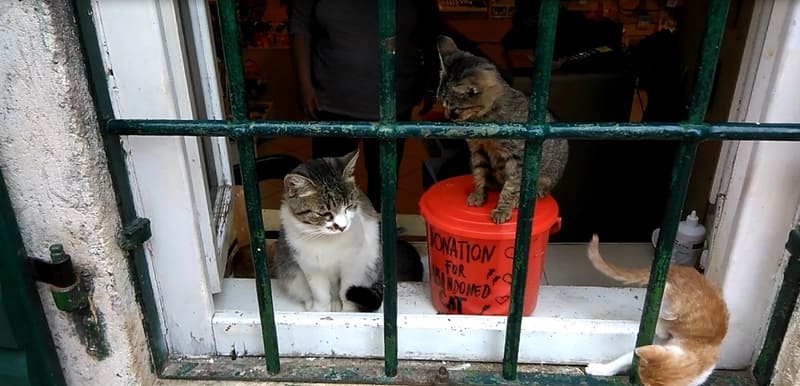 Котор. Черногория