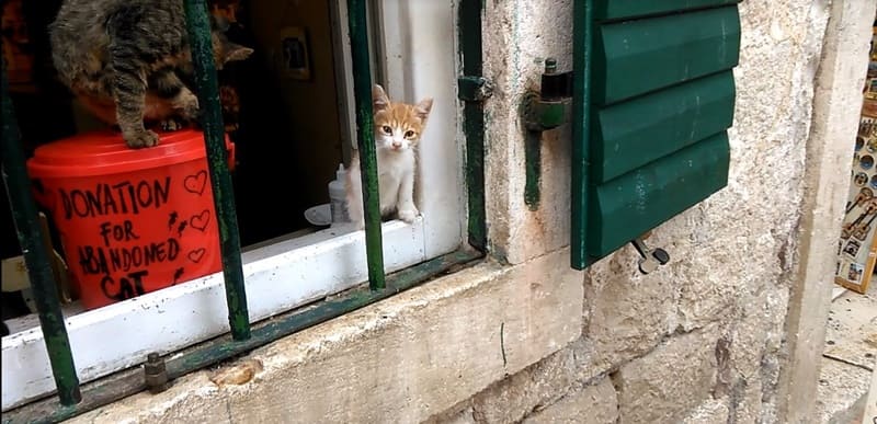 Котор. Черногория