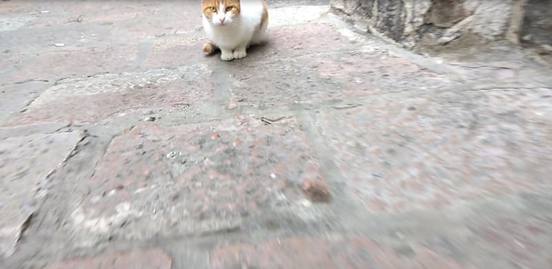 Котор. Черногория